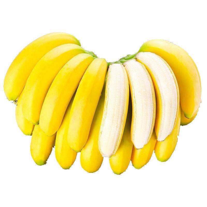 【香蕉】 隆安县那之龙香蕉9斤 帮扶 消费帮扶 消费帮扶公共服务平台 助农 消费 扶贫