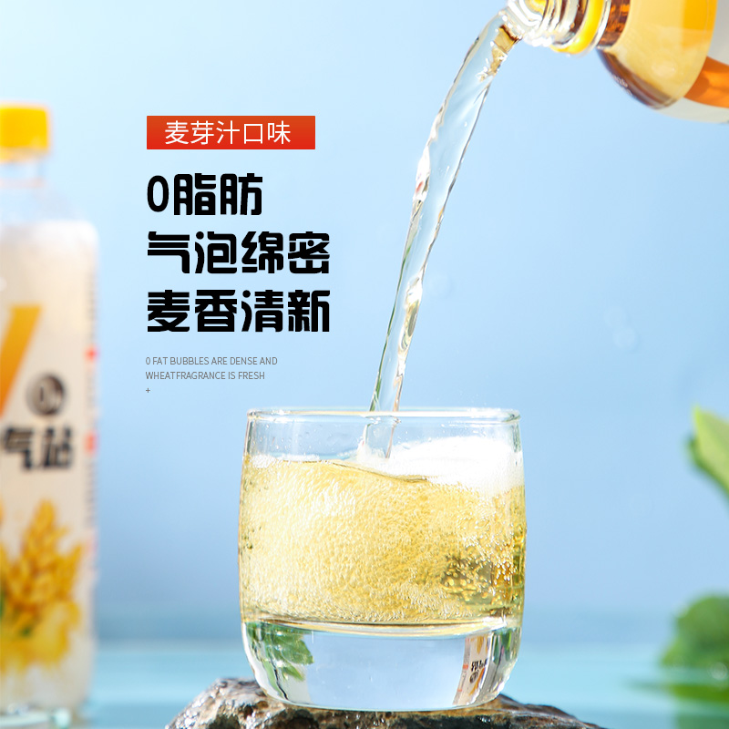  阜南县VCE麦芽汁碳酸饮料480ml*15瓶整箱