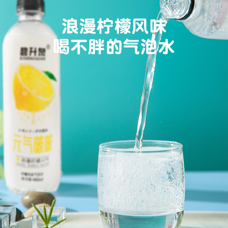 阜南县碧升泉柠檬风味气泡水480ml*12瓶