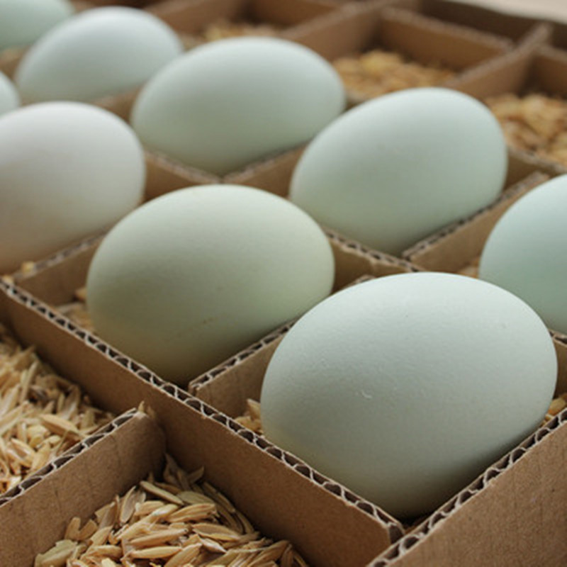  嘉陵区农家绿壳鸡蛋150枚 帮扶 消费帮扶 消费帮扶公共服务平台 助农 消费 扶贫