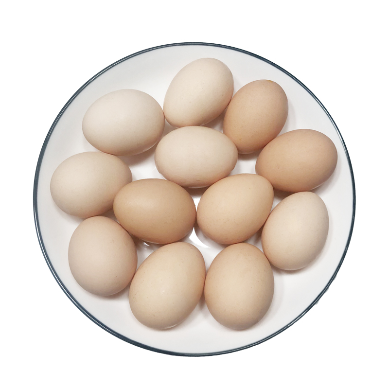 嘉陵区食堂农家鸡蛋360枚 帮扶 消费帮扶 消费帮扶公共服务平台 助农 消费 扶贫