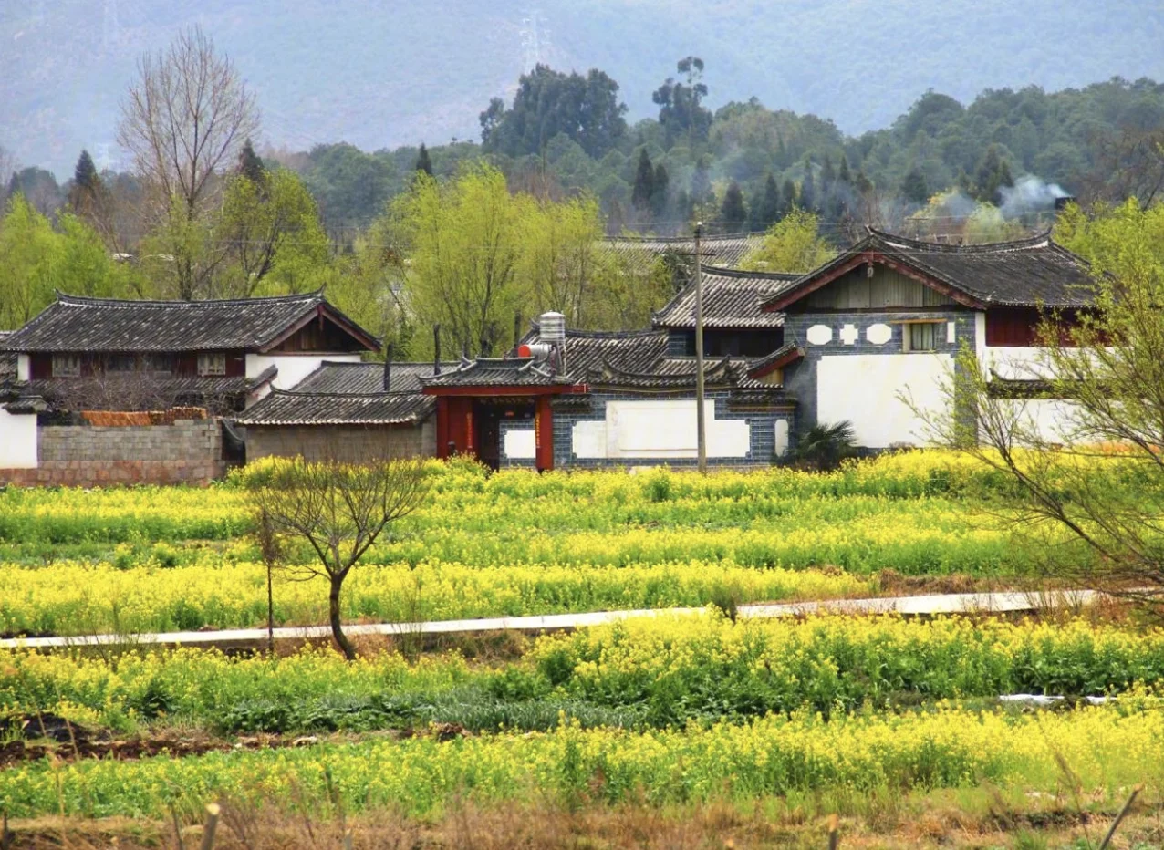 帮扶头条